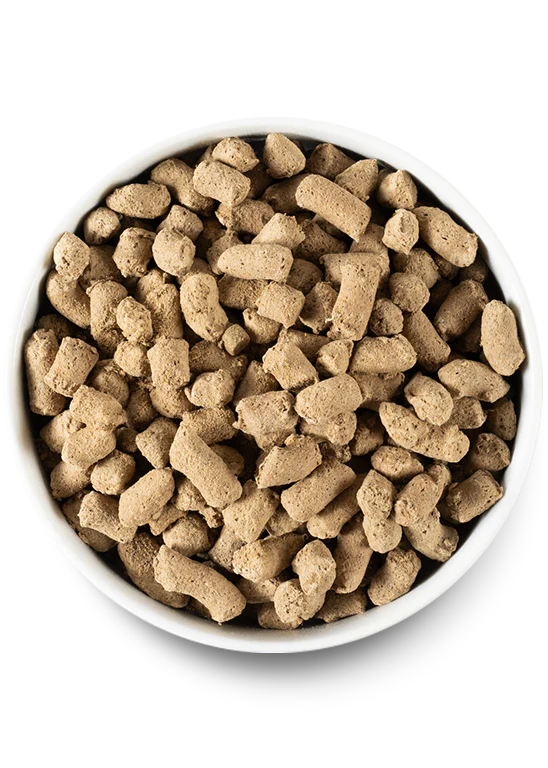Open Farm Surf & Turf Freeze Dried Raw Dog Food - Image 2