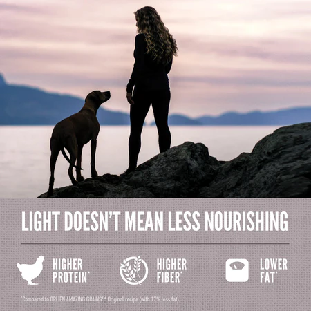 Orijen Amazing Grains Fit & Trim Dog Food - Image 4