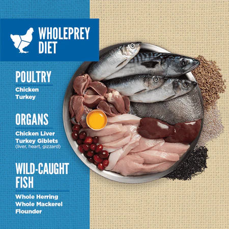 ORIJEN Amazing Grains Original High Protein Dry Dog Food - Image 4
