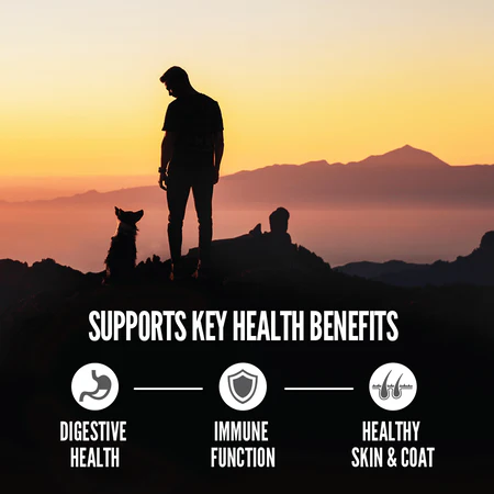 ORIJEN Amazing Grains Regional Red Dry Dog Food - Image 6