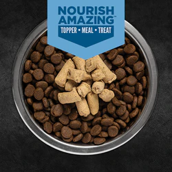 ORIJEN™ Freeze-Dried Epic Bites Original Recipe for Dogs - Image 4