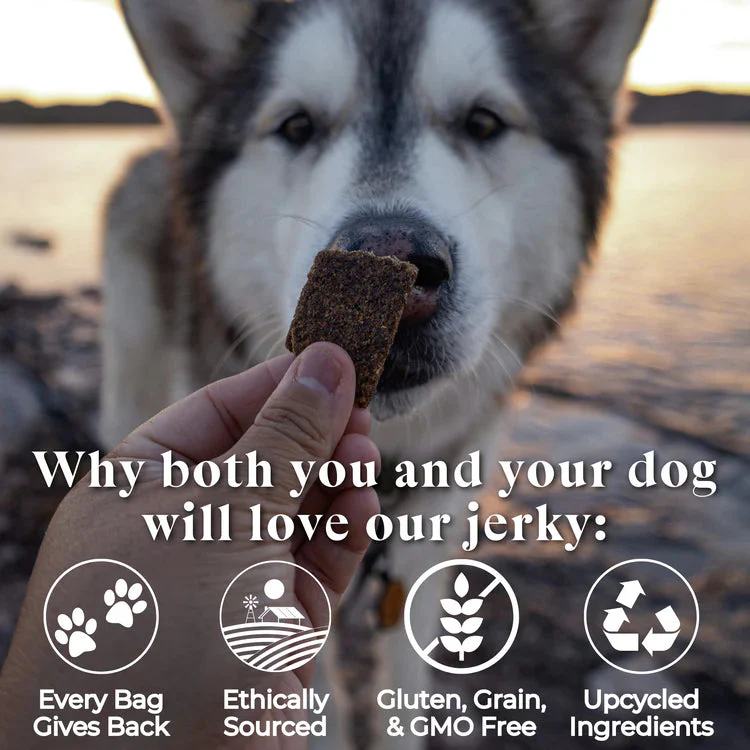 Otis Wild Things Salmon Recipe Jerky For Dogs - Image 4