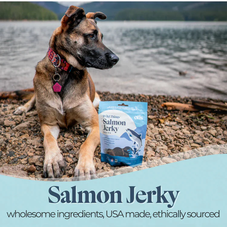 Otis Wild Things Salmon Recipe Jerky For Dogs - Image 5