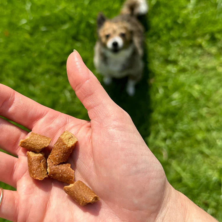 Otis Wild Things Trainers Elk Recipe Dog Treats - Image 4