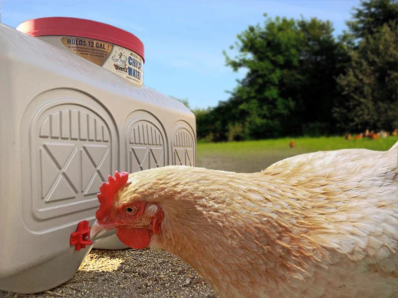OverEZ Chicken Waterer - Image 2