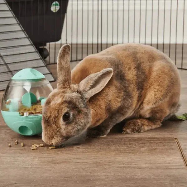 Oxbow Animal Health Enriched Life – Wobble Teaser - Image 4