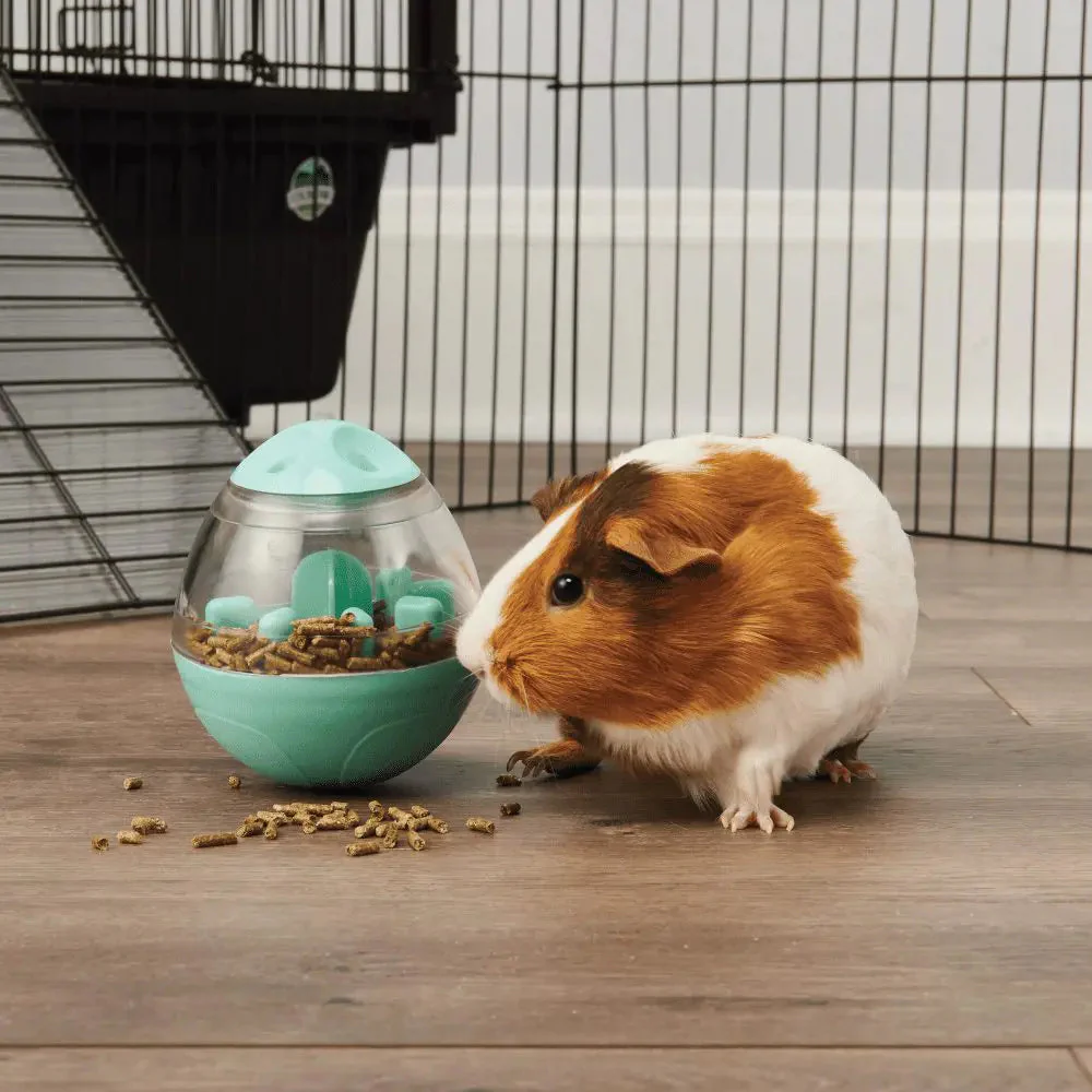Oxbow Animal Health Enriched Life – Wobble Teaser - Image 5