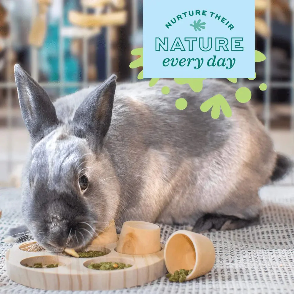 Oxbow Animal Health Enriched Life – Wobble Teaser - Image 6