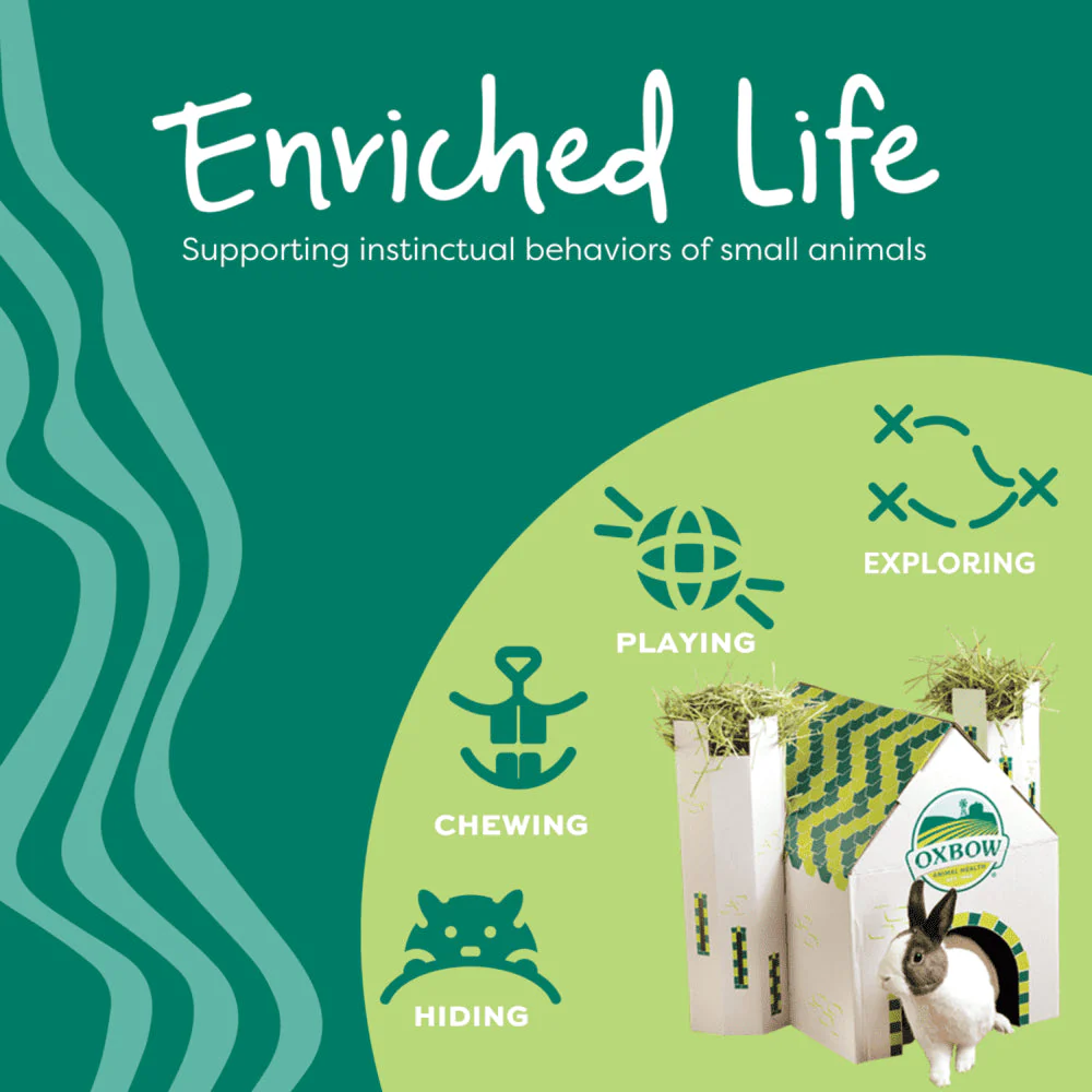 Oxbow Animal Health Enriched Life – Wobble Teaser - Image 7