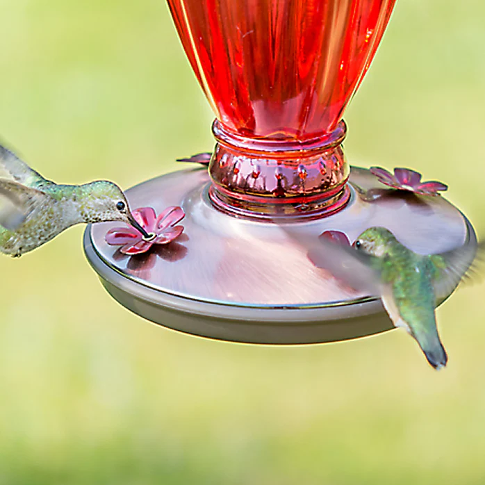 Perky-Pet® Daisy Vase Vintage Hummingbird Feeder - 18 oz Nectar Capacity - Image 4