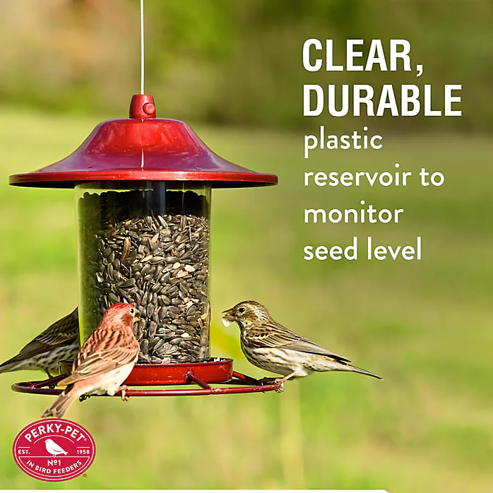 Perky-Pet® Red Sparkle Panorama Feeder - 2 lb Seed Capacity - Image 4