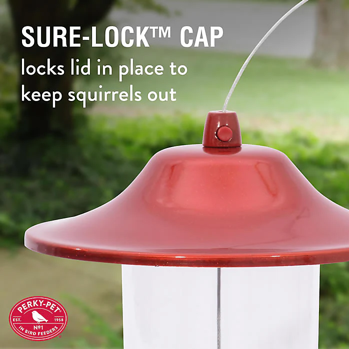 Perky-Pet® Red Sparkle Panorama Feeder - 2 lb Seed Capacity - Image 5