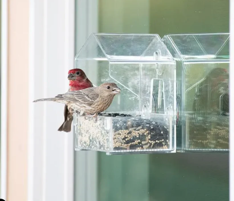 Perky-Pet® Window Bird Feeder - Image 2