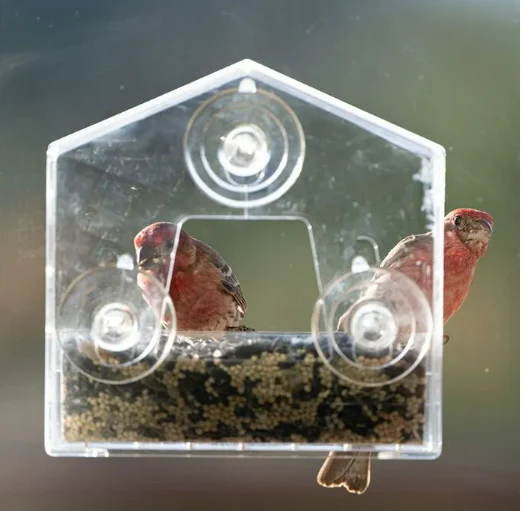 Perky-Pet® Window Bird Feeder - Image 7