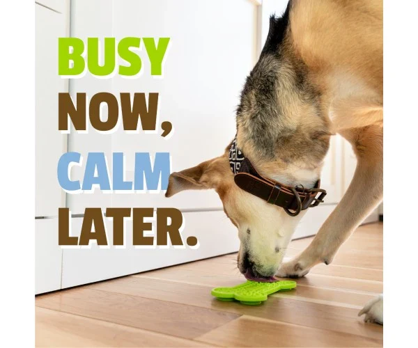 Pet Naturals BusyButter® Calm & Busy Pack - Image 4