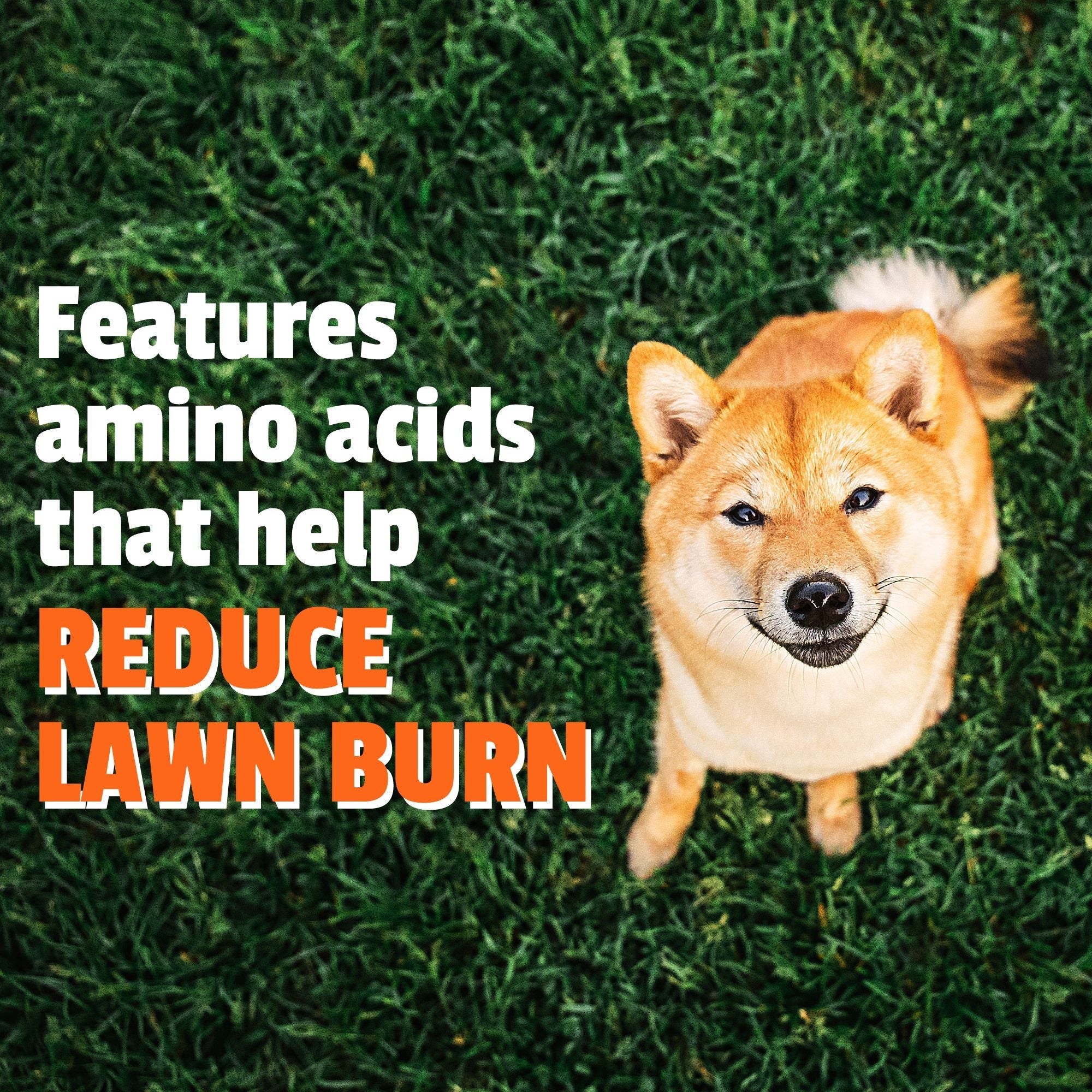 Pet Naturals Lawn Aid - Image 4