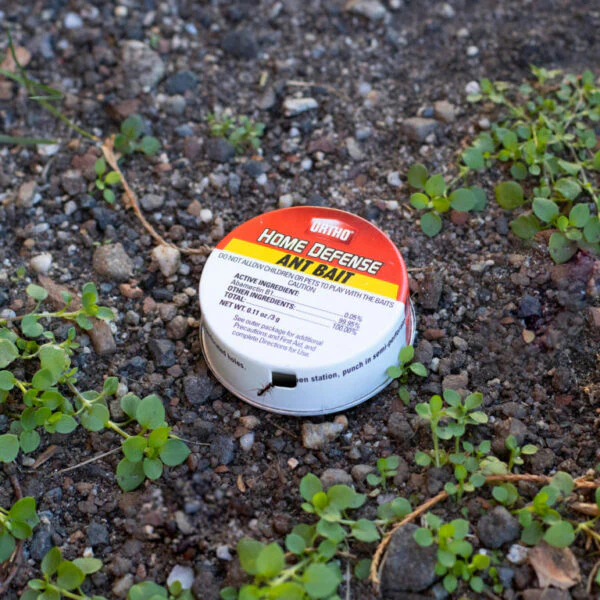 PIC Ortho Home Defense Ant Killer - Image 3