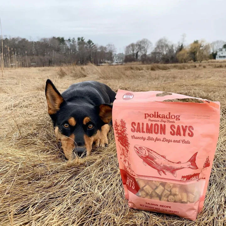 Polkadog Salmon Says (Bits) Dog Treats - Image 4