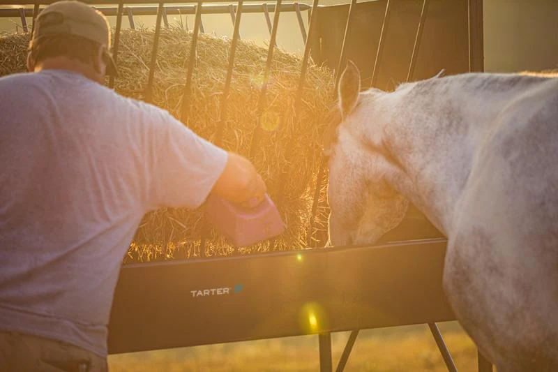 Tarter Equine Elevated Hay & Grain Feeder - Image 3