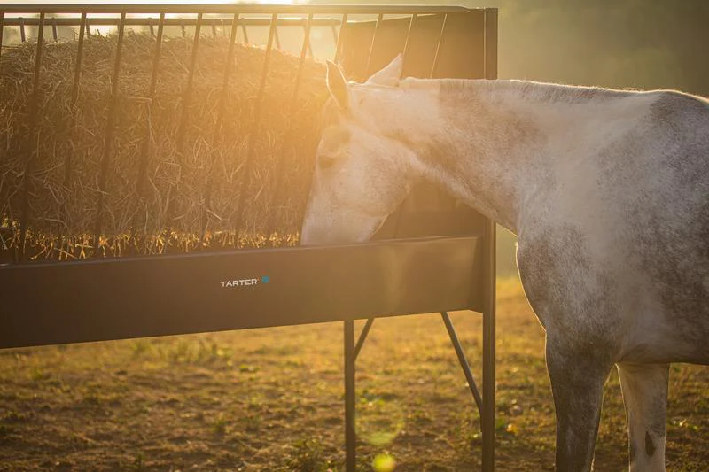 Tarter Equine Elevated Hay & Grain Feeder - Image 4