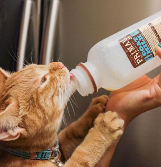 Primal Pet Foods Goat Milk Original - Image 9