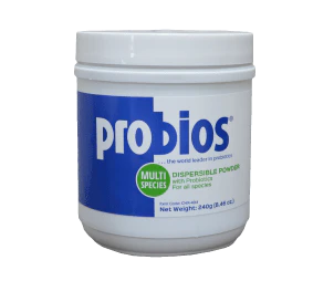 Probios Probiotic Supplement - Image 2