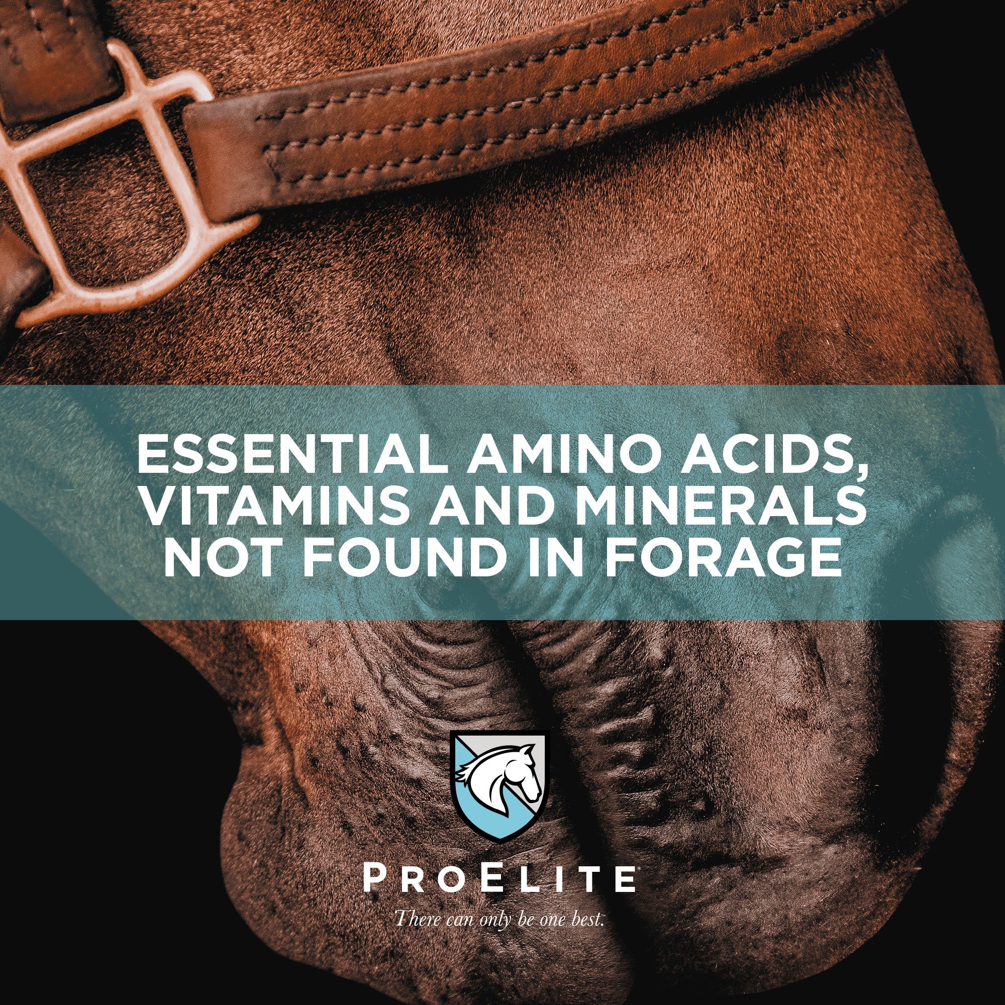 ProElite® Elements - Image 3