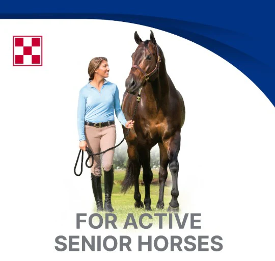 Purina® Equine Senior® Active Horse Feed - Image 4