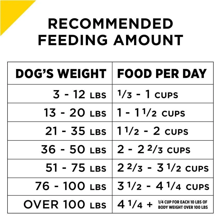 Purina Pro Plan Bright Mind Adult 7plus Chicken & Rice Formula Dry Dog Food - Image 4