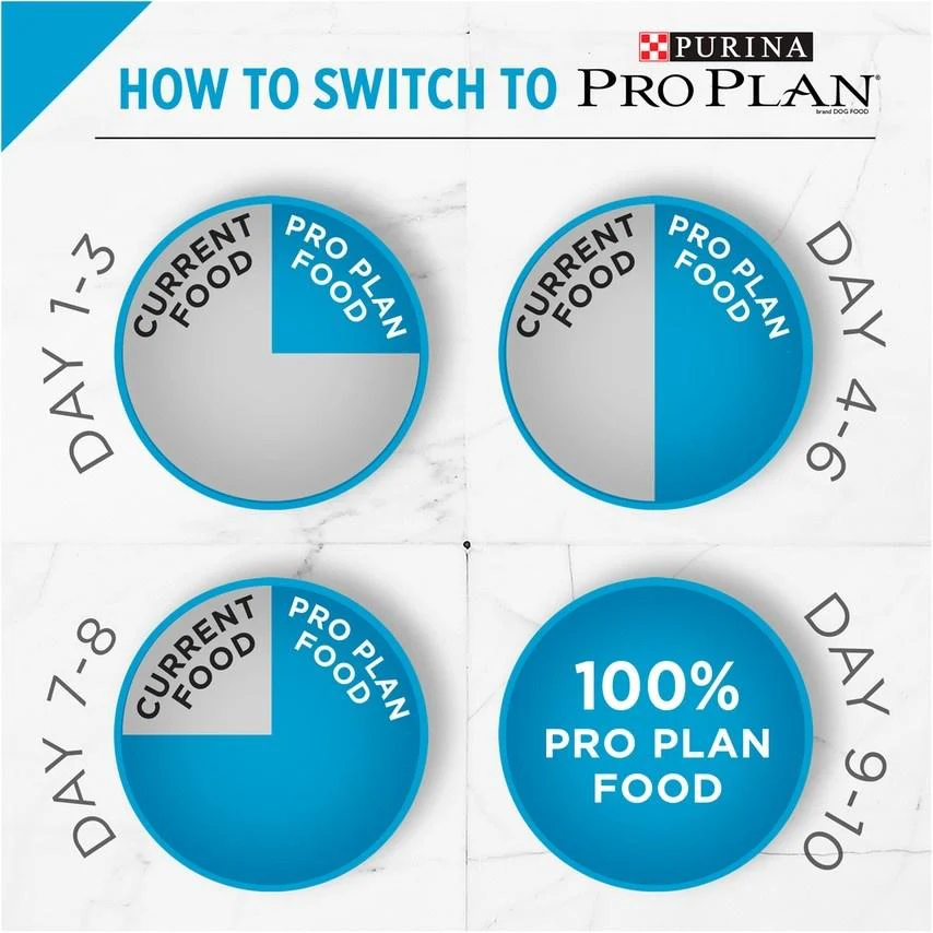 Purina Pro Plan Focus Adult Sensitive Skin & Stomach Lamb & Rice Formula Dry Cat Food - Image 2