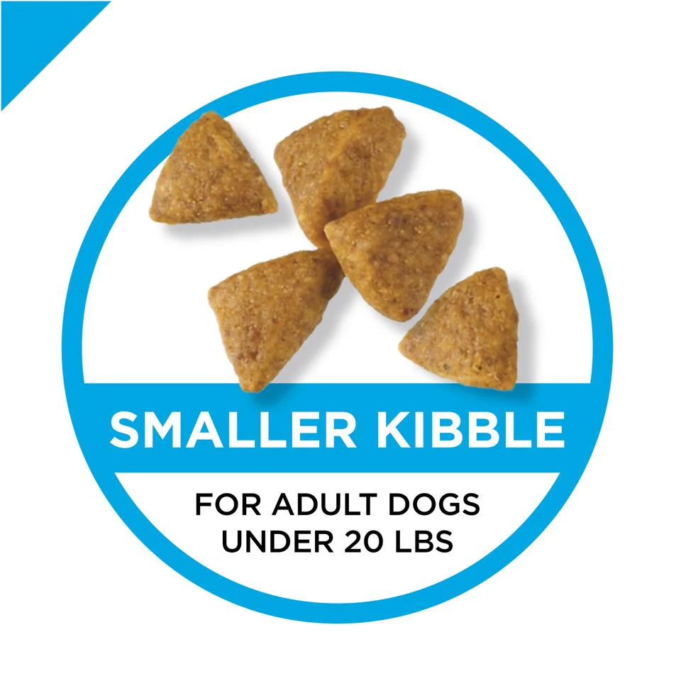 Purina Pro Plan Focus Chicken & Rice Formula Adult Small & Toy Breed Dry Dog Food - Image 5