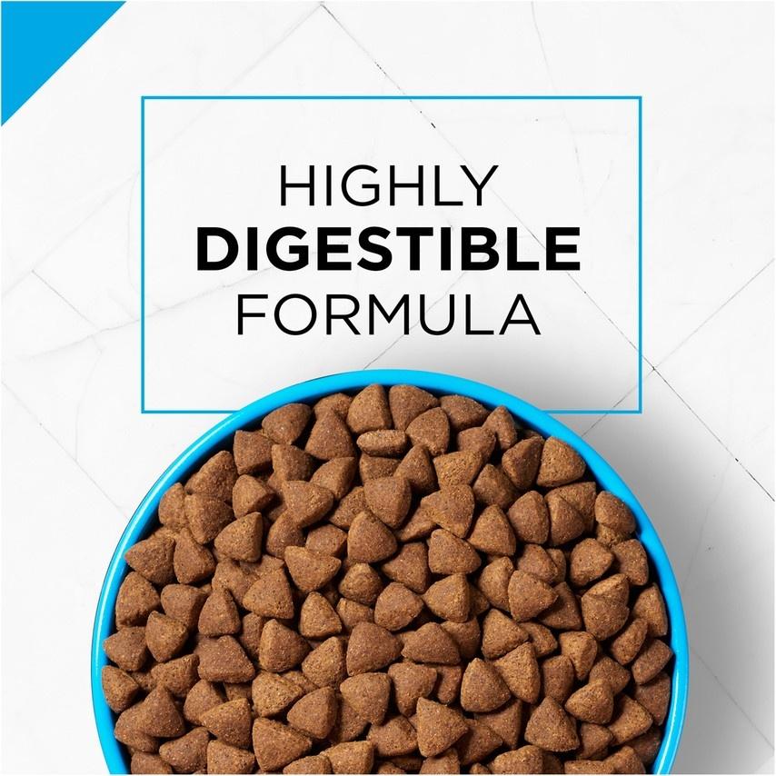 Purina Pro Plan Focus Sensitive Skin & Stomach Formula Salmon & Rice Formula Dry Dog Food - Image 7