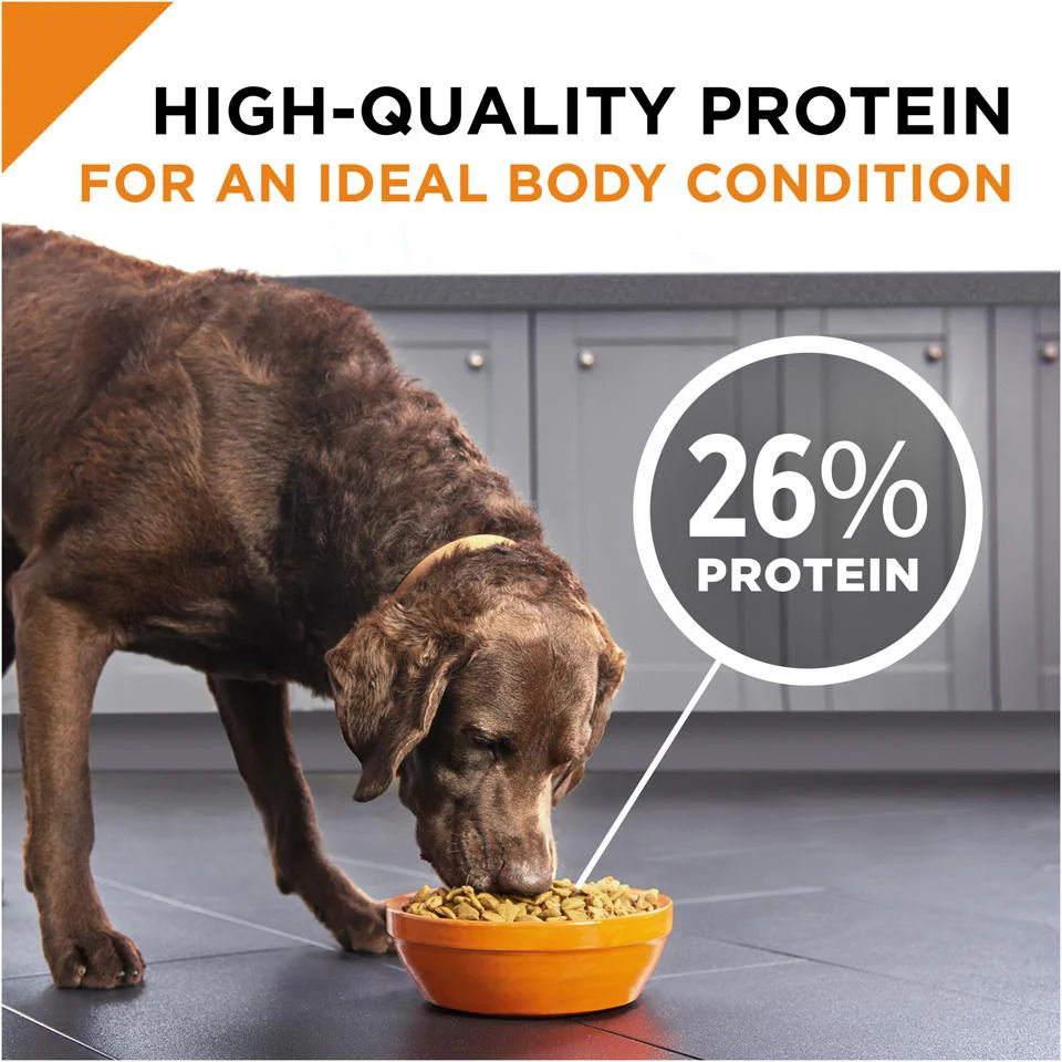 Purina Pro Plan Savor Adult Shredded Blend Lamb & Rice Formula Dry Dog Food - Image 4