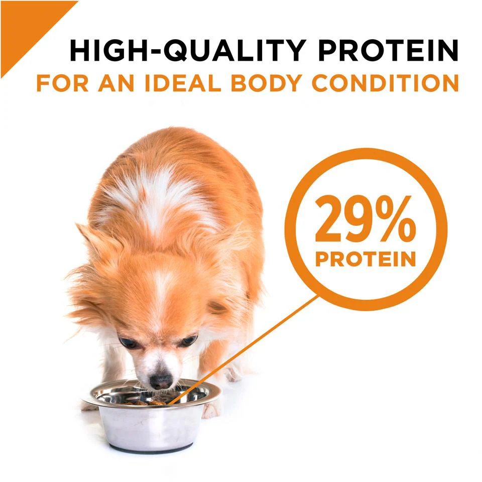 Purina Pro Plan Savor Shredded Blend Chicken & Rice Formula Adult Small & Toy Breed Dry Dog Food - Image 6