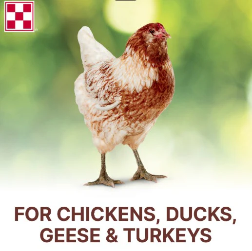 Purina® Scratch Grains - Image 6