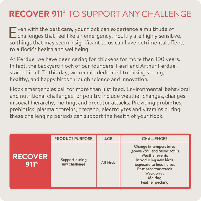 RECOVER 911 – Severe Stress Probiotic Water Supplement for Chickens with Electrolytes, Prebiotics & Oregano - Image 3