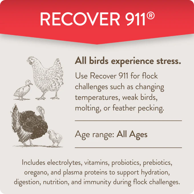RECOVER 911 – Severe Stress Probiotic Water Supplement for Chickens with Electrolytes, Prebiotics & Oregano - Image 4