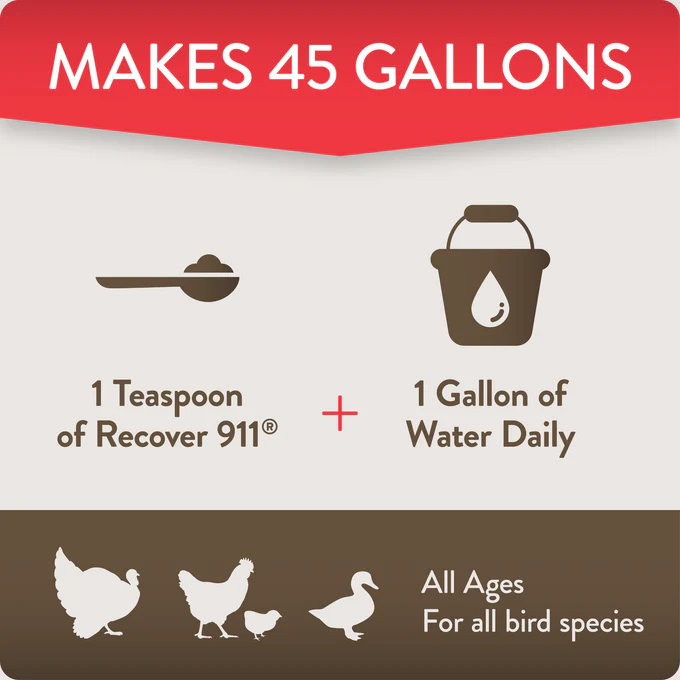 RECOVER 911 – Severe Stress Probiotic Water Supplement for Chickens with Electrolytes, Prebiotics & Oregano - Image 5
