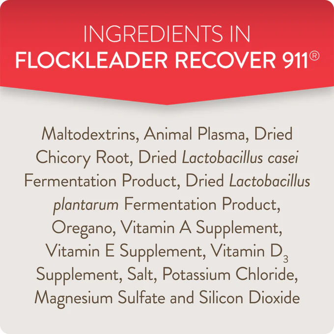 RECOVER 911 – Severe Stress Probiotic Water Supplement for Chickens with Electrolytes, Prebiotics & Oregano - Image 6