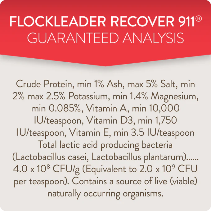 RECOVER 911 – Severe Stress Probiotic Water Supplement for Chickens with Electrolytes, Prebiotics & Oregano - Image 7