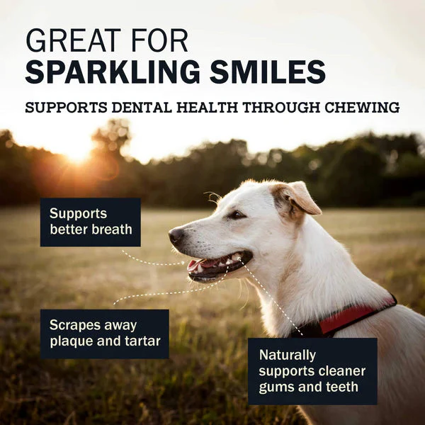 Redbarn Dur-A-Bulls Bone Dog Treats - Image 4