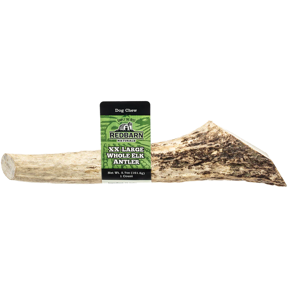 Redbarn Large Whole Elk Antler - Image 2