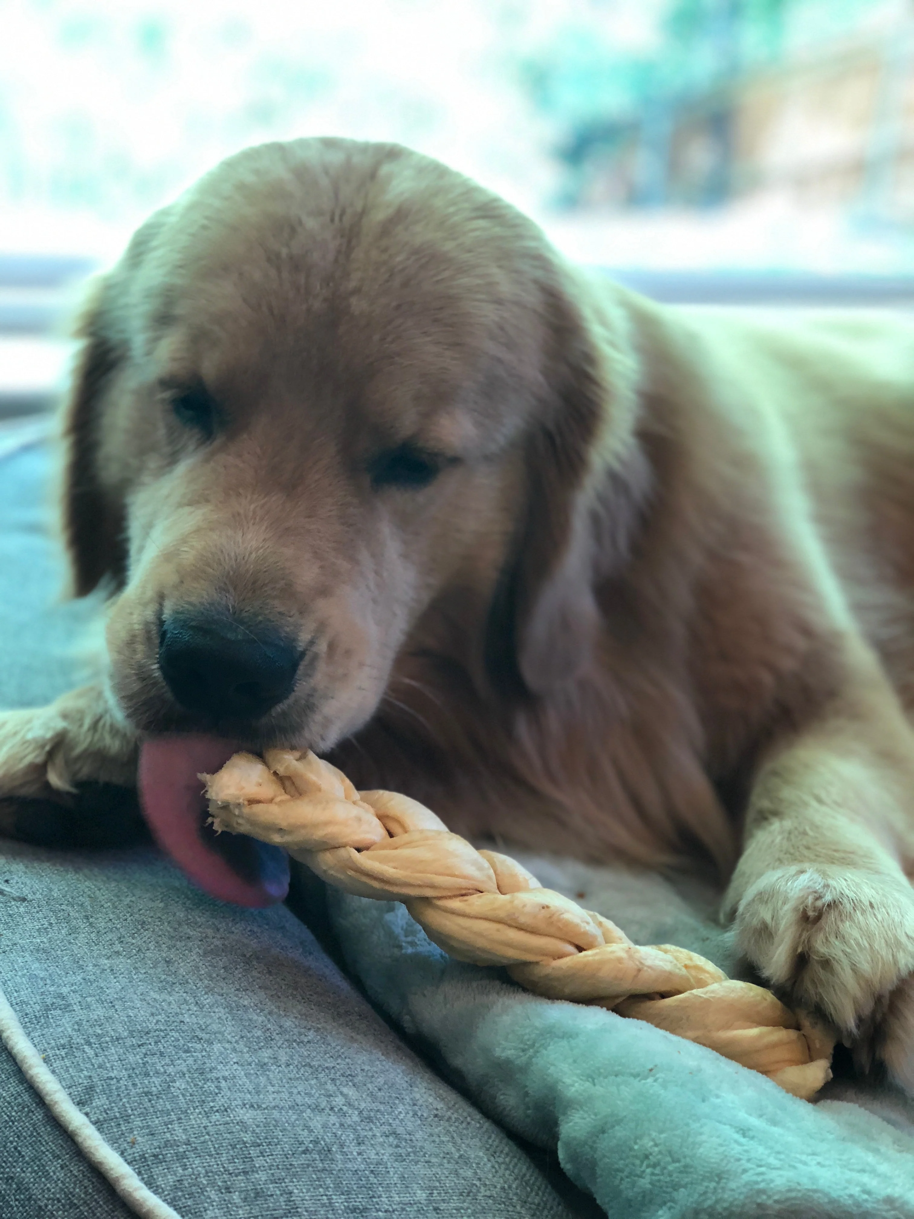 Redbarn Puff Braid Dog Treats - Image 3