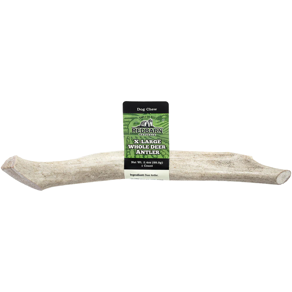 Redbarn Whole Deer Antler - Image 2