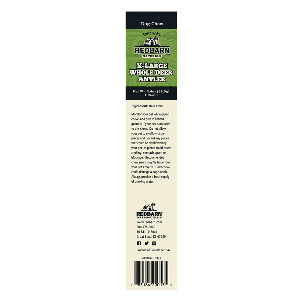 Redbarn Whole Deer Antler - Image 4