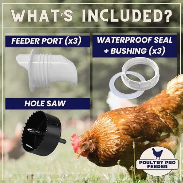 Riverbend Resources Poultry Pro Feeder - Image 3