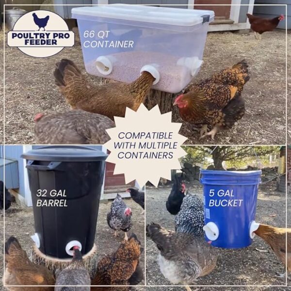 Riverbend Resources Poultry Pro Feeder - Image 5
