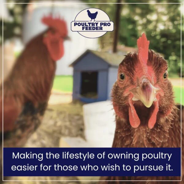 Riverbend Resources Poultry Pro Feeder - Image 7