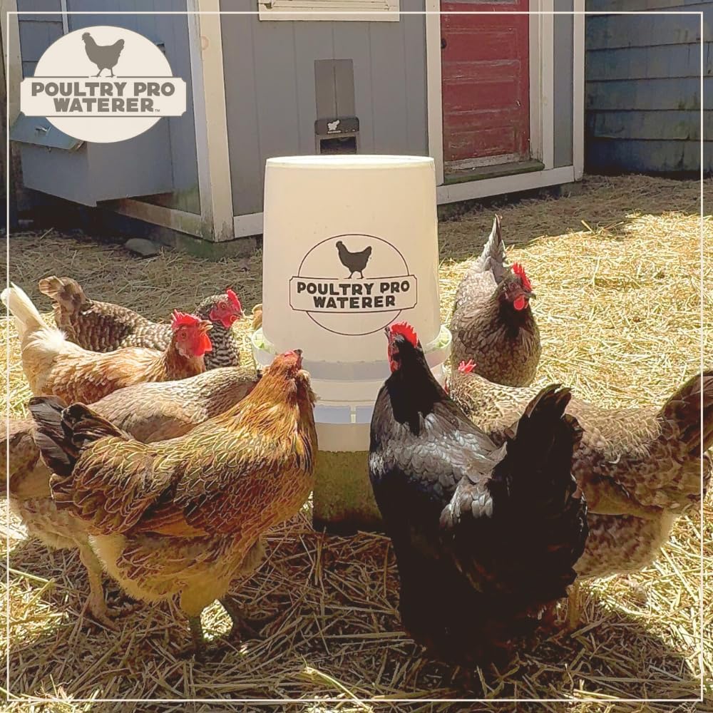 Riverbend Resources Poultry Pro Waterer - Image 6