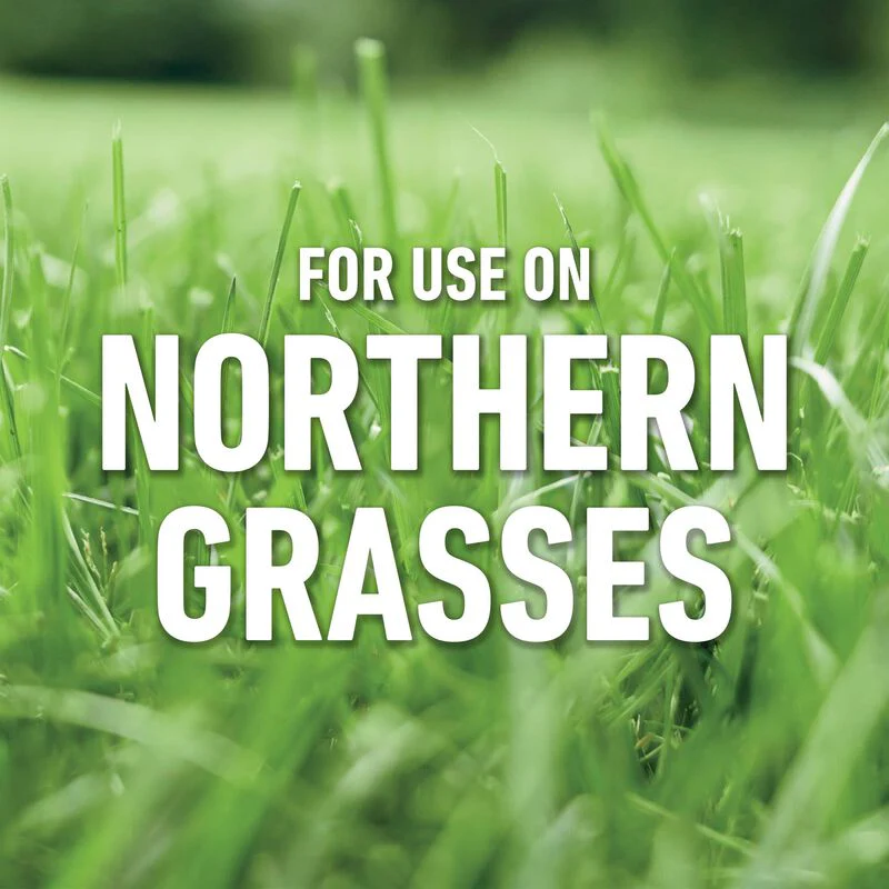 Roundup® for Northern Lawns - Image 7